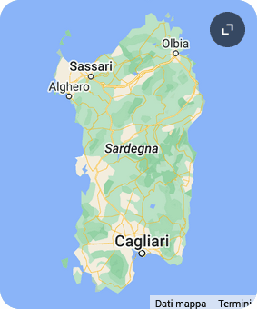 Scopri cani in adozione in Sardegna. Cuccioli e cani adulti pronti per una nuova vita sull'isola tra mare e montagna.