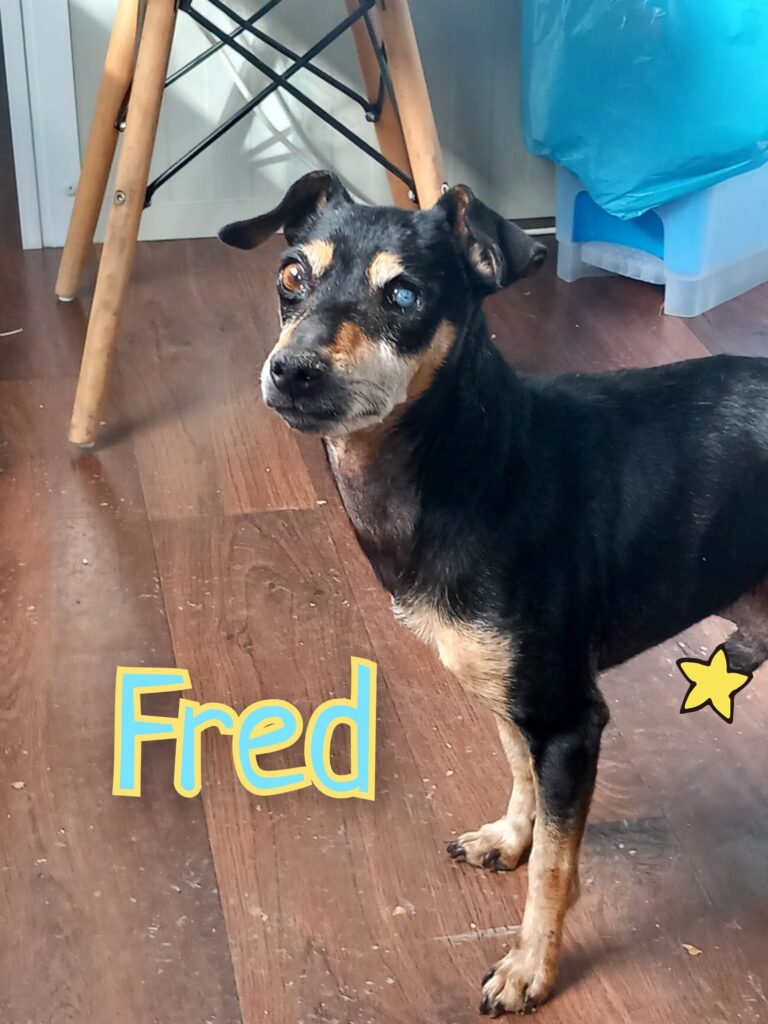 FRED-PINCHER