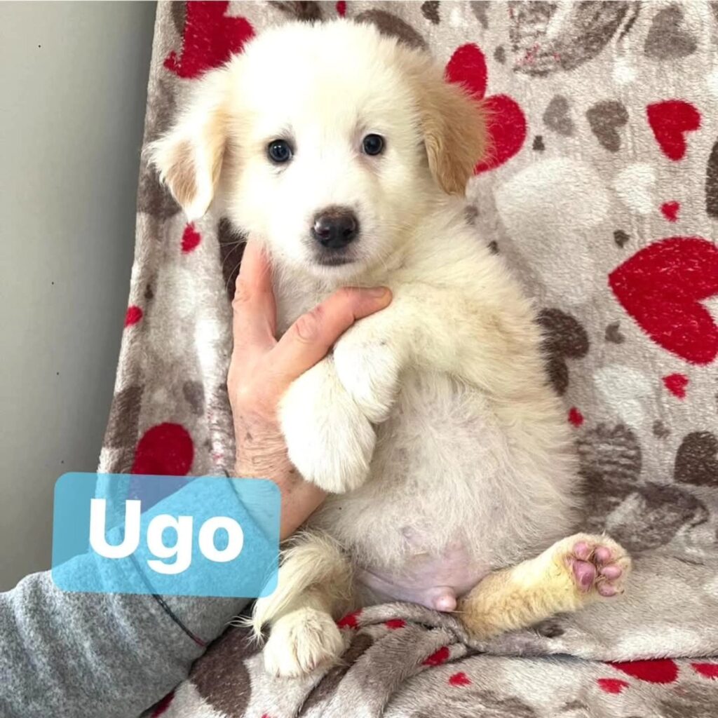 UGO